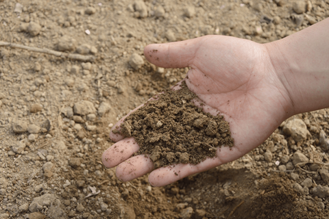 土壤检测的样品采集一般是怎样进行的